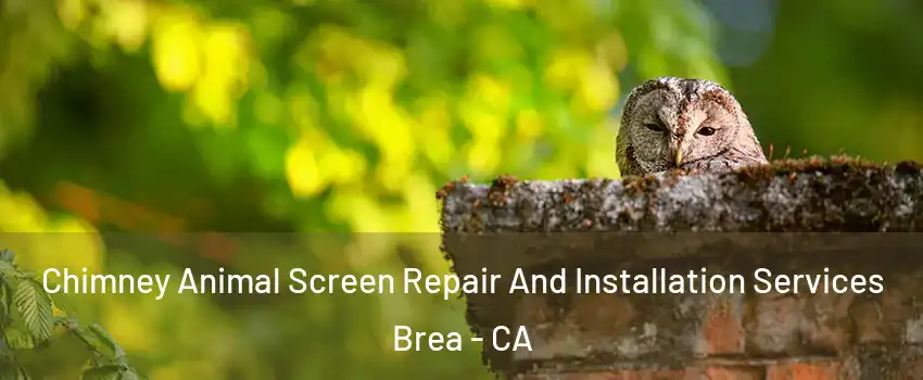  Chimney Animal Screen Repair And Installation Services Brea - CA