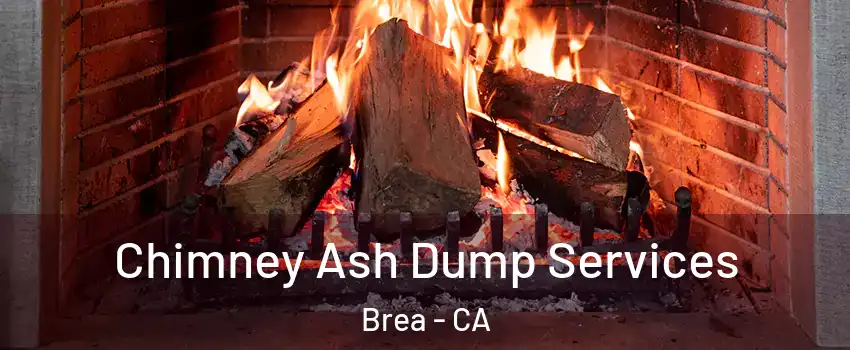 Chimney Ash Dump Services Brea - CA
