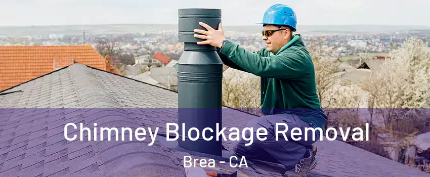  Chimney Blockage Removal Brea - CA