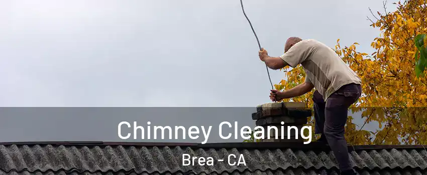  Chimney Cleaning Brea - CA