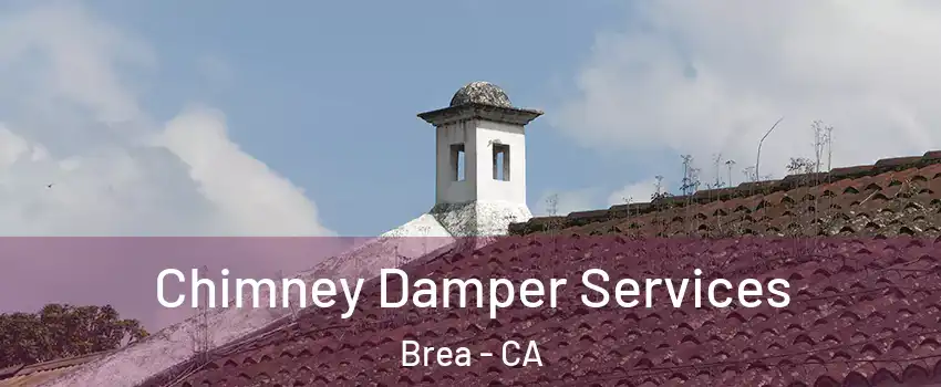  Chimney Damper Services Brea - CA