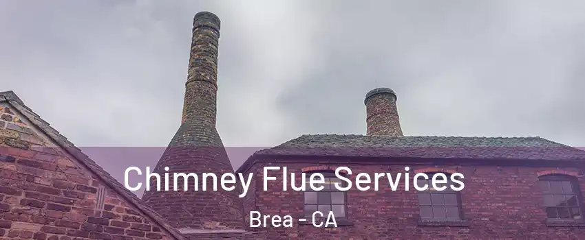  Chimney Flue Services Brea - CA