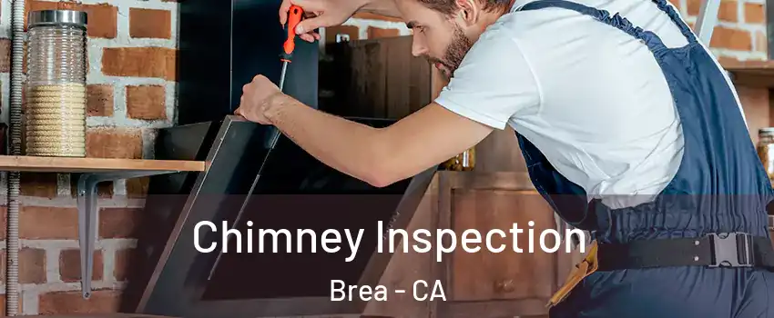 Chimney Inspection Brea - CA