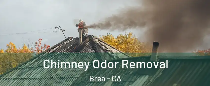  Chimney Odor Removal Brea - CA