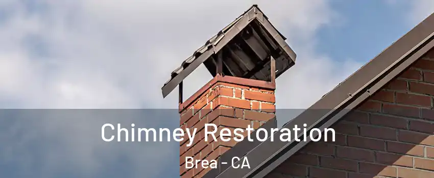  Chimney Restoration Brea - CA