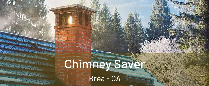  Chimney Saver Brea - CA