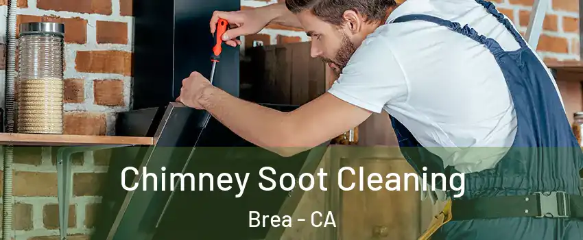  Chimney Soot Cleaning Brea - CA
