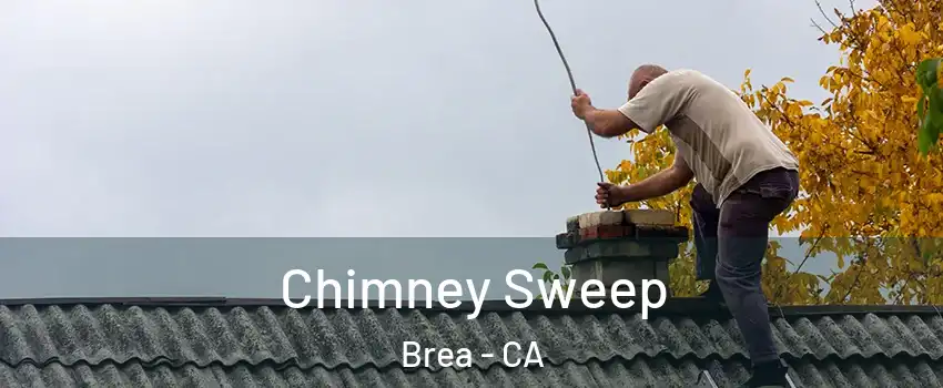  Chimney Sweep Brea - CA