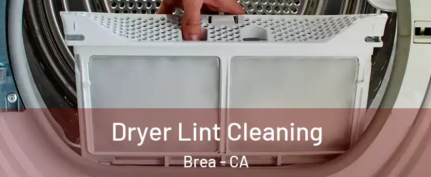  Dryer Lint Cleaning Brea - CA