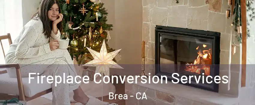 Fireplace Conversion Services Brea - CA