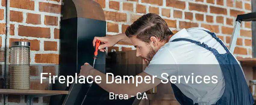  Fireplace Damper Services Brea - CA