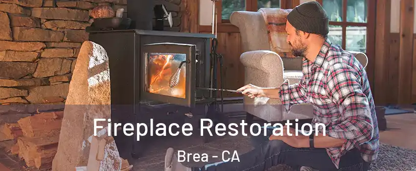  Fireplace Restoration Brea - CA