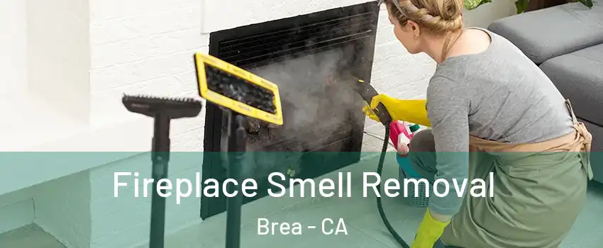  Fireplace Smell Removal Brea - CA