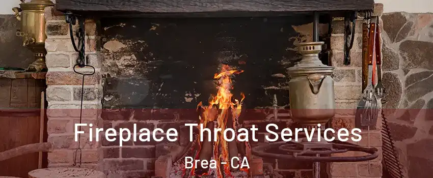  Fireplace Throat Services Brea - CA