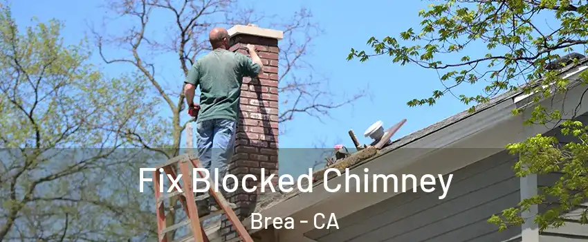  Fix Blocked Chimney Brea - CA
