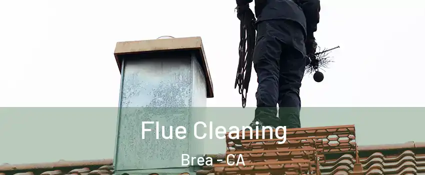  Flue Cleaning Brea - CA