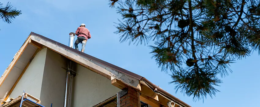 Birds Removal Contractors from Chimney in Brea, CA