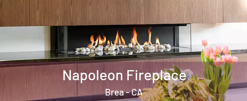  Napoleon Fireplace Brea - CA